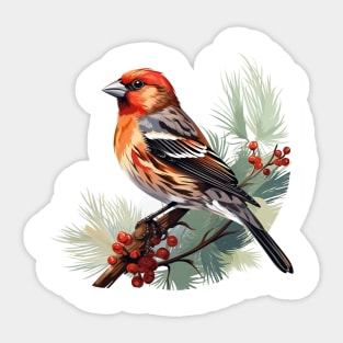 Finch Bird Sticker